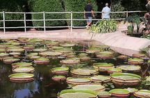 Agadir Cable Car & Crocopark Tour with Tree Climbing Goats
