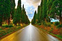 Livorno Experience Coast Tour and Wine Tasting
