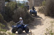 Walk and Quad EN excursion on the Heights DE Hammamet