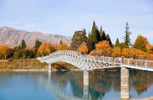 Lake tekapo & Mt. Cook Private tour from Christchurch 