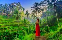 Bali Top Attractions Tour – All-Inclusive Private Experience