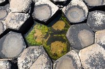 Dublin to Dunluce Castle, Giant's Causeway and Belfast Day Tour