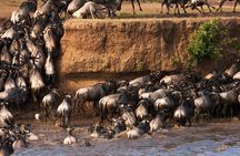 7 Day Masai Mara Nakuru Amboseli Safari Tour