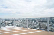 Shibuya Guided Tour to Hachiko and Sky Views