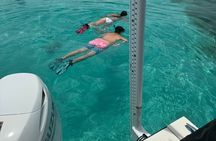 Private 4 Hour Snorkel and Sandbar Charter in Islamorada