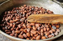 Chocolate Tour Basic: Self-drivers without lunch