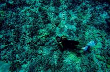 Exclusive Super Raft Kona Snorkel Tour Family Friendly Adventure
