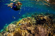 Exclusive Super Raft Kona Snorkel Tour Family Friendly Adventure