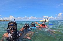 3-Hour Snorkeling Experience on SeaRay Sundeck 26' up to 8 guests