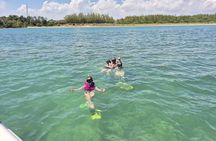 3-Hour Snorkeling Experience on SeaRay Sundeck 26' up to 8 guests