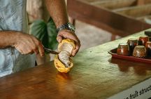 Chocolate Tour Standard #2: Lunch Included without transportation