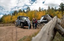 Woodland Park: 2 Hour Guided Wildlife Sunset UTV Tour - You Drive