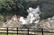 Sulphur Springs Mud Bath Volcano Tour and Waterfall with Lunch