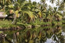 Cruise Ship Shore Excursion: Kauai Movie Sites Tour
