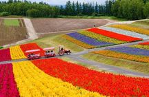 Hokkaido: Biei Blue Pond & Furano Lavender Farm Day Tour