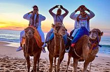 Tangier Grand Tour: Camel Rides, Cap Spartel, Caves & full Meals