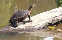 Mystical Pack Shared Canoe Tour, Day Walk and Night Walk