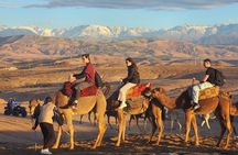 Agafay Desert Sunset & Dinner Experience with Camel or Quad Ride