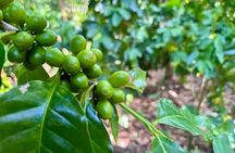 Coffee and Mountains with Personal Coffee Experience