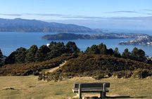 Wellington: Wild Skyline Guided Hiking Tour, Transfers + Lunch