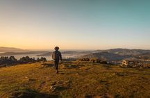 Wellington: Wild Skyline Guided Hiking Tour, Transfers + Lunch
