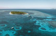 Explore Green Island with Diving options from Cairns