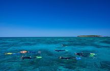 Explore Green Island with Diving options from Cairns