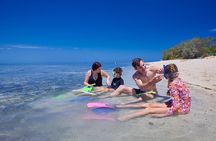 Explore Green Island with Diving options from Cairns