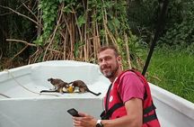 Panama Canal and Gatun Lake Wildlife Half Day Tour