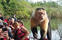 Panama Canal and Gatun Lake Wildlife Half Day Tour