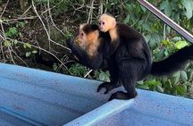Panama Canal and Gatun Lake Wildlife Half Day Tour