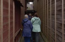 Walking Tour in the Geiko Districts