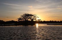 Sigiriya Kayaking with Sunrise and Sunset Experience