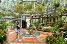 Kobe Guided Tour Nunobiki Waterfalls and Herb Garden