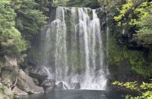 Small Group Tour for Jeju Fall Pink Muhly, Tangerines & Mt. Halla