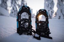 Snowshoeing in the Arctic Circle Wilderness