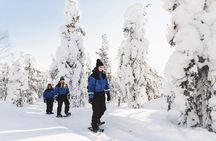 Snowshoeing in the Arctic Circle Wilderness