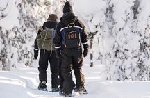 Snowshoeing in the Arctic Circle Wilderness
