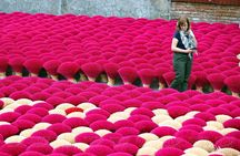 Quang Phu Cau Incense Village & Ninh Binh Day Tour from Hanoi
