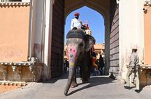 Golden Triangle 7 Day Agra Jaipur Delhi Tour