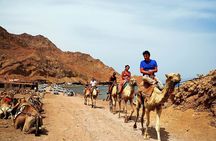 Dahab Quad Bike Safari & Canyon Tour from Sharm El Sheikh