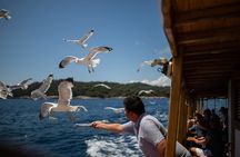 Elaphite island Hopping & City Walls Cruise with Food and Bar