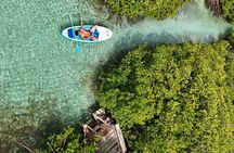Snorkel Aruba's Vibrant Waters and Serene Mangroves Private Tour