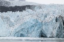 Glacier Bay Day Tour: Explore Tidewater Glaciers and Wildlife