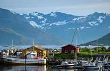Tromsø: Arctic Fjord & Island Sightseeing — Small Group Tour