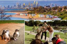 Melbourne: Penguin Parade , Koala & Brighton Bathing Boxes