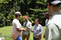 Learning about Medicinal Plants of Puerto Rico