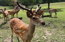 Almaty City Tour Green Bazaar Iconic City Routes and Kok Tobe