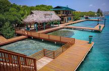 Roatan French Key Little Private Islands Packages and Day Passes
