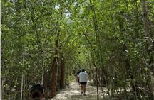 Stingrays, Starfish and Crystal Cave Adventure